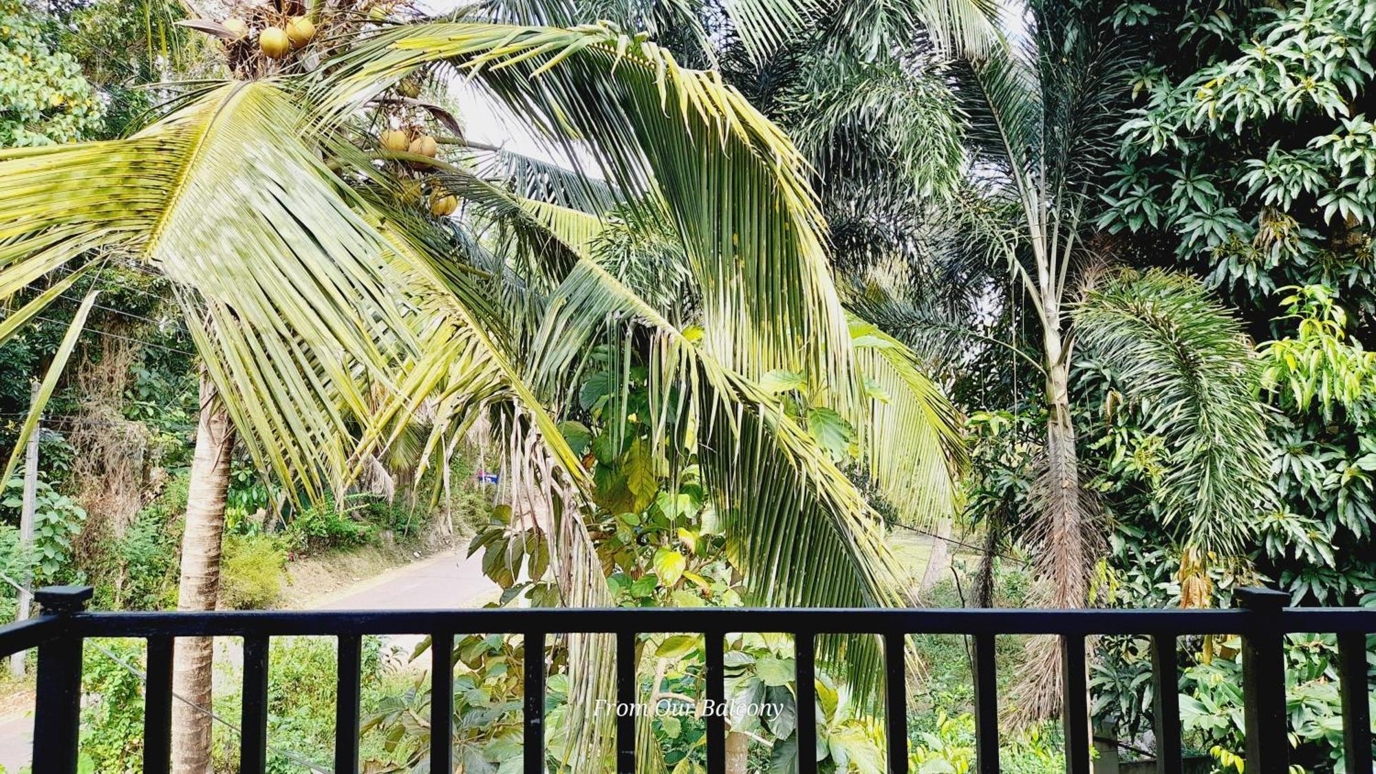 Le Meridien Bnb For Foreign Travelers 尼甘布 外观 照片