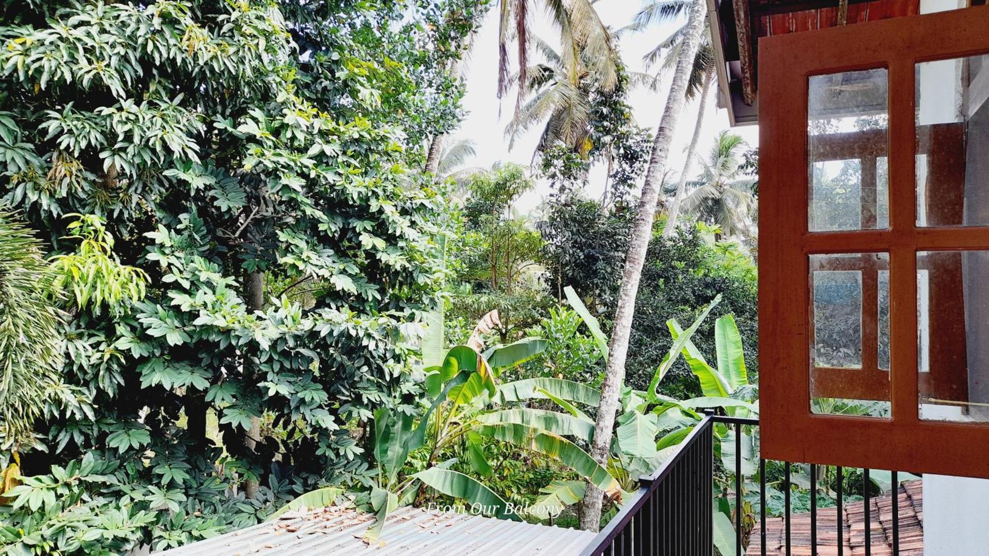 Le Meridien Bnb For Foreign Travelers 尼甘布 外观 照片
