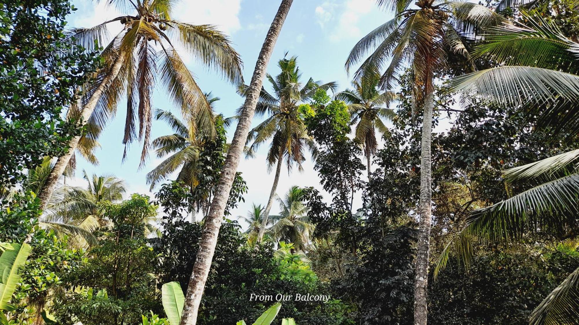 Le Meridien Bnb For Foreign Travelers 尼甘布 外观 照片